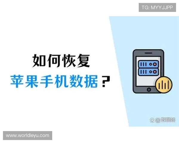 乐鱼app官网登录入口安卓版苹果登录入口故障排查及恢复方法全程指南