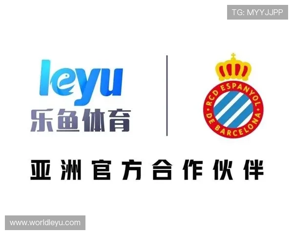 乐鱼体育备用平台账号安全保护措施与隐私安全保障策略