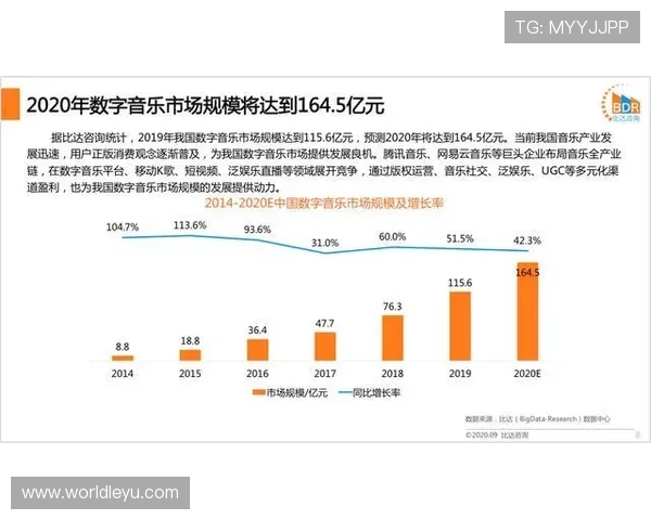 乐投体育公司在2024年的市场布局与未来发展战略探讨