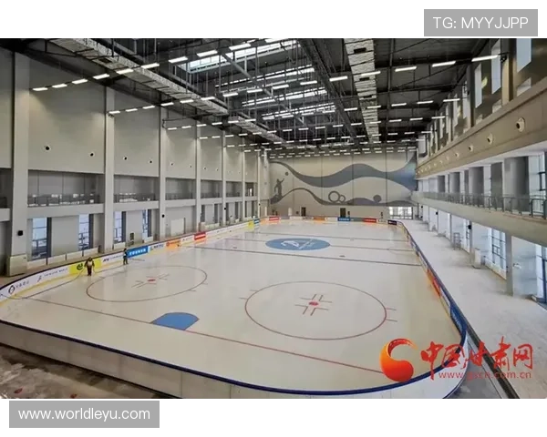 乐动全体育:智能化体育场馆建设实现高效管理与优质运动体验 乐动全体育:智能化体育场馆建设实现高效管理与优质运动体验