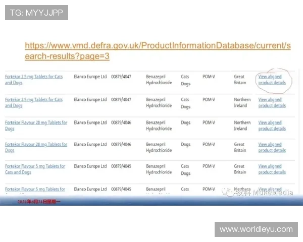 乐鱼官方注册账号的重要性及其带来的诸多福利