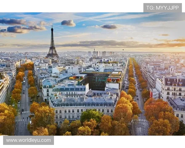 乐鱼平台与大巴黎合作项目全景解析促进双方品牌影响力全面提升