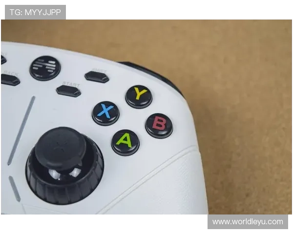 乐鱼平台最新网址稳定性分析，确保用户畅享无忧的游戏体验