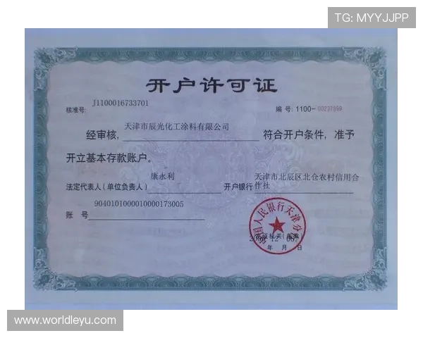 乐鱼平台开户条件有哪些详细规定新手玩家必看全面解析