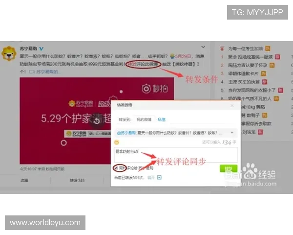 在letou官网上如何进行有效的投注策略，提升中奖几率的方法